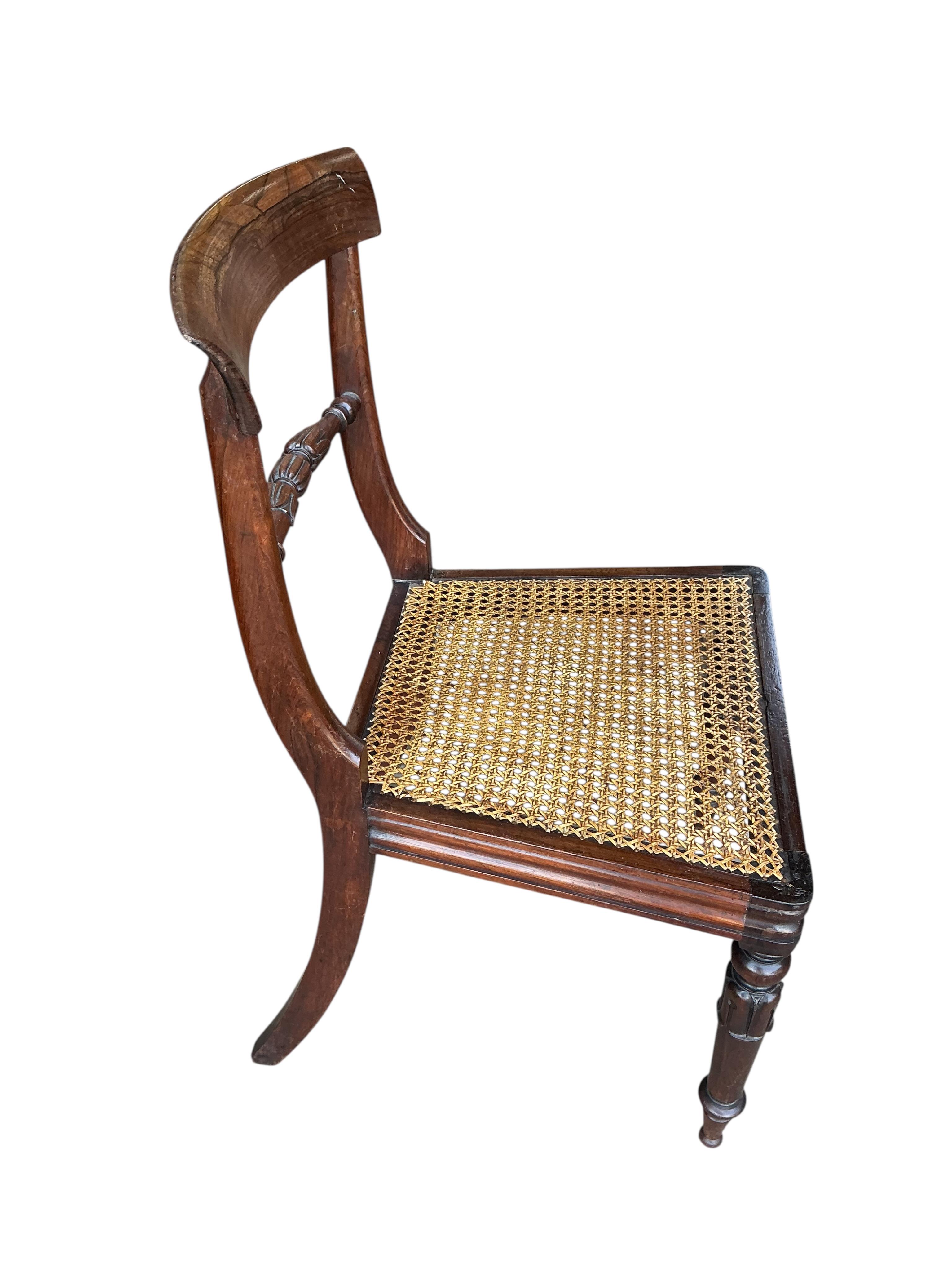 A pair of William IV rosewood bar back dining chairs with caned seats, width 46cm, depth 40cm, height 84cm